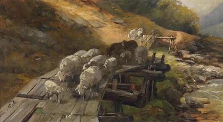 Sheep Crossing a River